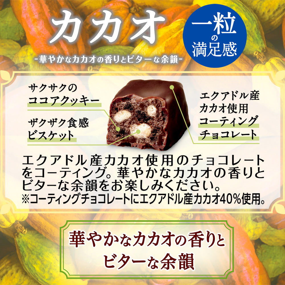 ブラックサンダー ひとくちサイズ カカオ