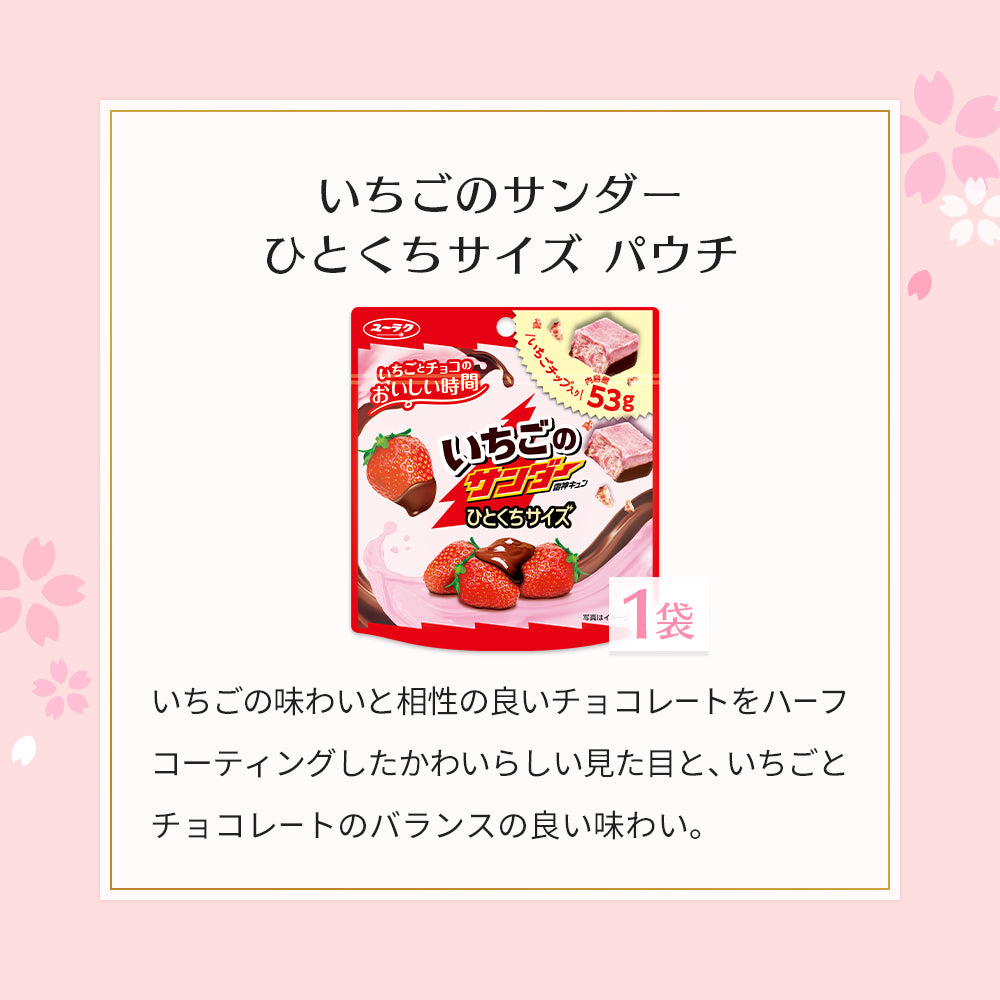 春の贅沢チョコレートセット