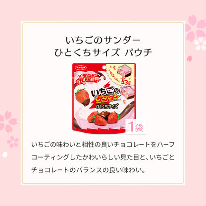 春の贅沢チョコレートセット