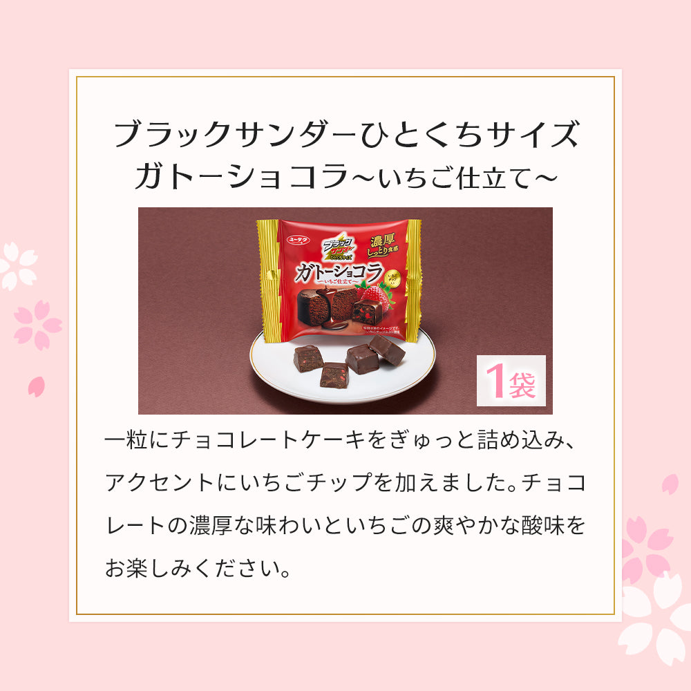 春の贅沢チョコレートセット