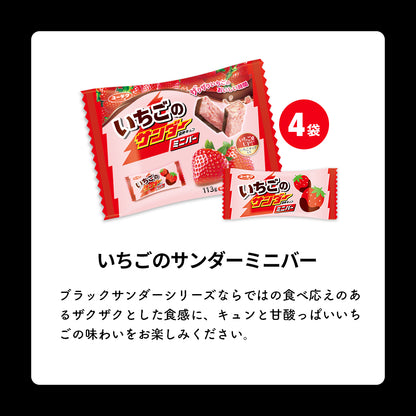 ブラックサンダーミニバーシリーズ詰め放題体験セット