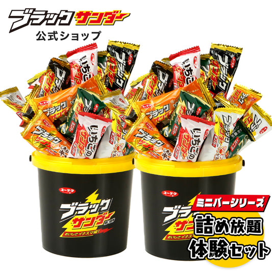 ブラックサンダーミニバーシリーズ詰め放題体験セット